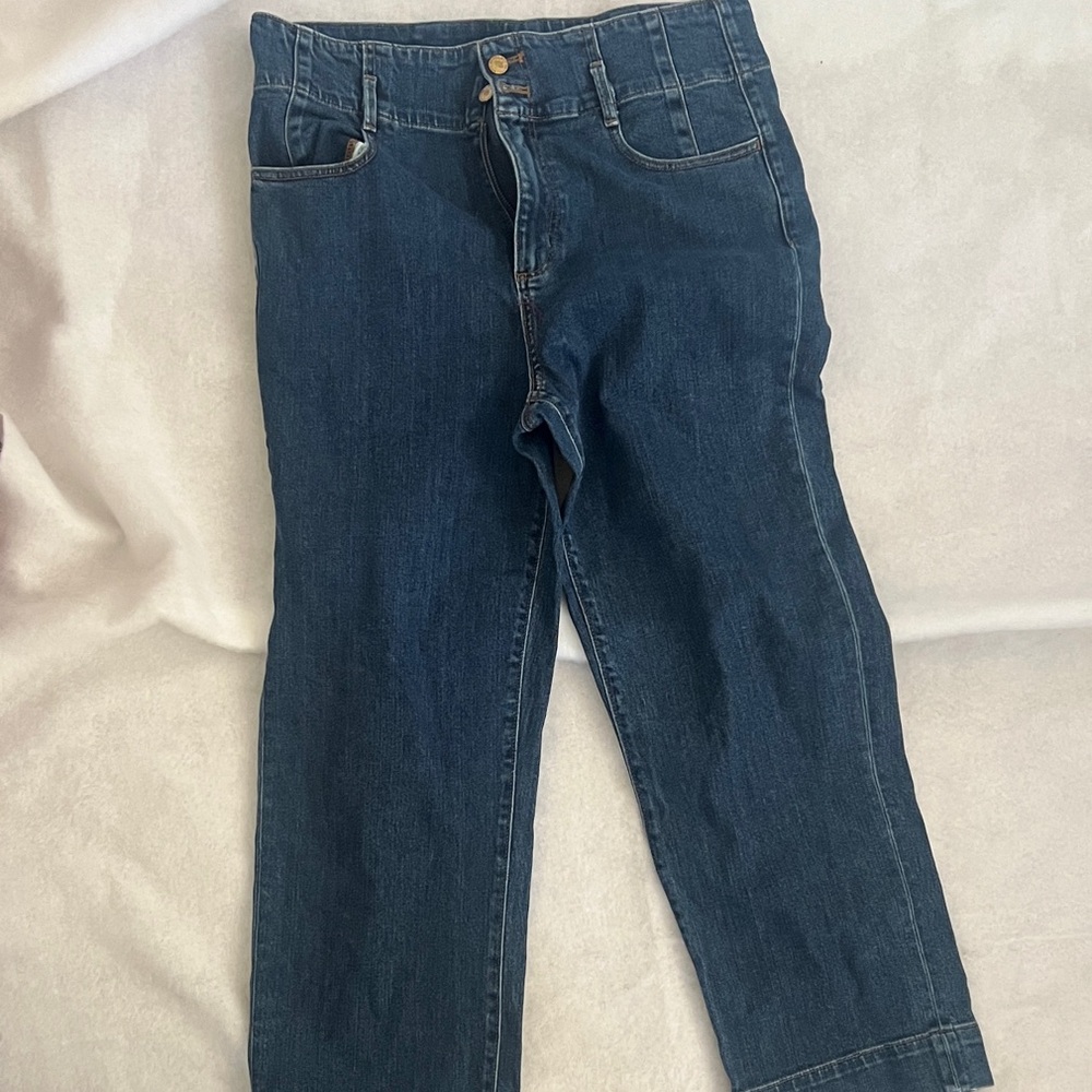 Ann Taylor Indigo Cropped Jeans